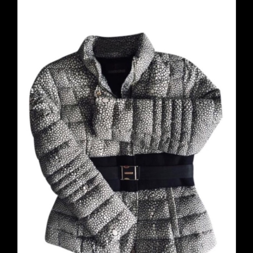 🎉HP🎉Belted Cropped Down Puffer Jacket - Picture 11 of 11